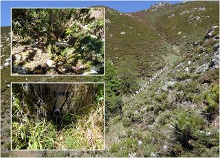 Ribota-Felguera-Doñango-La Collá Pelúgano-La Pandiella-Los Casares-Texera-Campa Perugues-La Güeya Carbayal