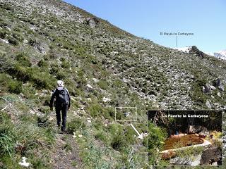 Ribota-Felguera-Doñango-La Collá Pelúgano-La Pandiella-Los Casares-Texera-Campa Perugues-La Güeya Carbayal