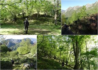 Ribota-Felguera-Doñango-La Collá Pelúgano-La Pandiella-Los Casares-Texera-Campa Perugues-La Güeya Carbayal