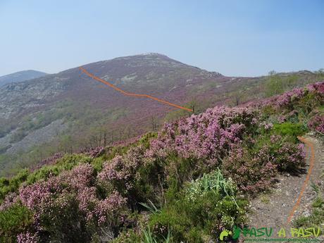 Ruta al Pico CERVERO o TONÓN desde VEGA de HÓRREO, Cangas del Narcea