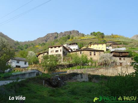 Vista del pueblo de la Viña, Cangas del Narcea