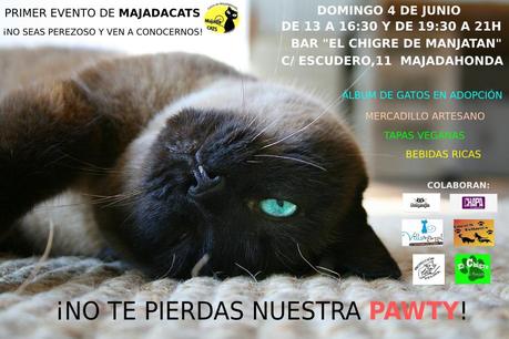 evento solidario majadacats