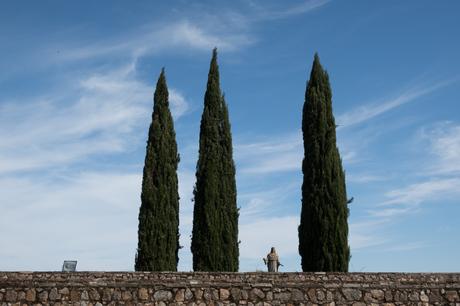 Canon PowerShot G9X Mark II: una compacta para llevar siempre encima Iso 125f 4 5 1 1250 S