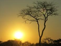 IMG_3920 IMG_3920