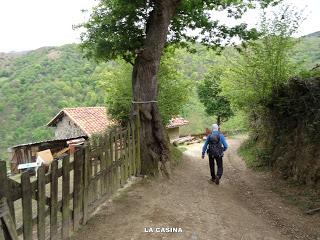 Pola de Lena-Ablaneo-El Cogul.lu-Brañal.lamosa-Muñón Fondiru