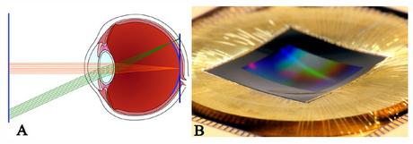 Microsoft es el último en apuntarse al reto de desarrollar sensores curvos en serie Sensores Curvos Microsoft 2