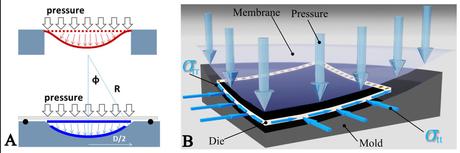 Microsoft es el último en apuntarse al reto de desarrollar sensores curvos en serie Sensores Curvos Microsoft 1