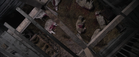 Brimstone - 2016 Brimstone - 2016