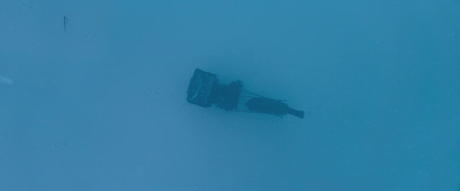 Brimstone - 2016 Brimstone - 2016