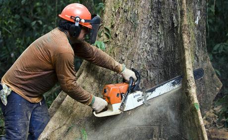 Los trabajos mas peligrosos del mundo Los trabajos mas peligrosos del mundo
