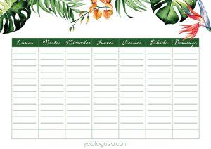 planner-semanal-tropical-monstera