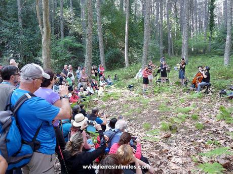 Festival Música en Segura