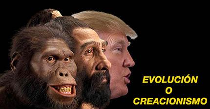 el villano arrinconado, humor, chistes, reir, satira, Trump, evolución, creacionismo, hominido