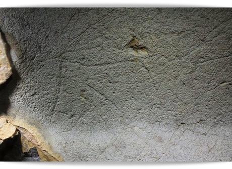 Grabados paleolíticos en la cueva de Erlaitz