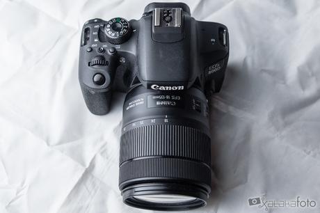 Análisis: Canon EOS 800D, una cámara perfecta para empezar Canon Eos 800d Iso100 F 3 5 1 4000 S