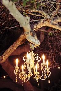 Decoración nocturna de bodas 0c2a67ff315a53254cb4e262d9c887e8