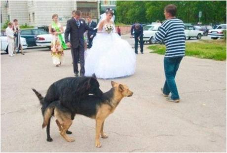 19 Divertidas fotos de bodas que NO fueron planeadas… 19 Divertidas fotos de bodas que NO fueron planeadas…