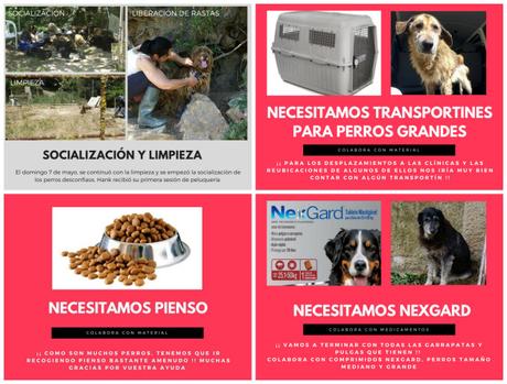 PROYECTO 43 PROYECTO 43