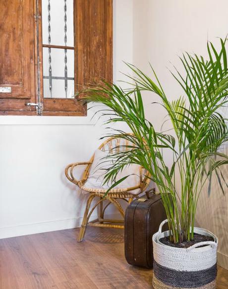 La casa de una blogger en el corazón de Barcelona La casa de una blogger en el corazón de Barcelona