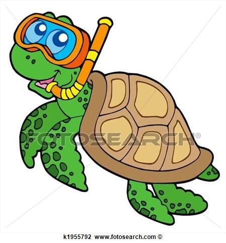 5 Patrones de Tortugas 5 Patrones de Tortugas