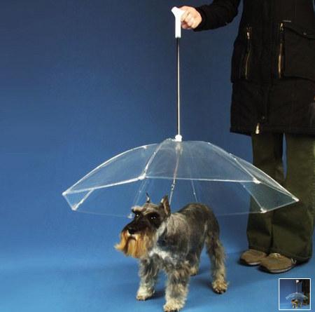 Tu perro no volverá a mojarse con el paraguas canino