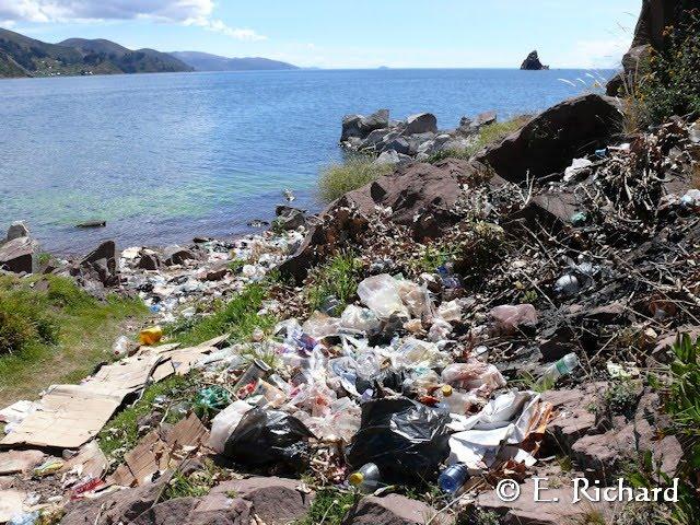 CRÓNICA DE UNA MUERTE ANUNCIADA.III. La maravillosa esponja endémica del Lago Titikaka: Balliviaspongia wirrmanni Boury-Esnault y Volkmer Rivero 1991. CRÓNICA DE UNA MUERTE ANUNCIADA.III. La maravillosa esponja endémica del Lago Titikaka: Balliviaspongia wirrmanni Boury-Esnault y Volkmer Rivero 1991.