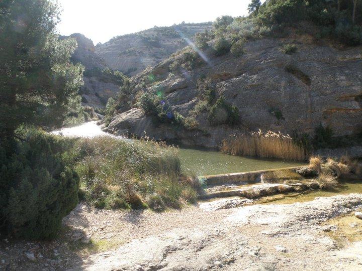 Salida al Parc Natural dels Ports con el Grupo Local de SEO-Barcelona