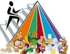 EL TUPPER, EL MEJOR ALIADO PARA SEGUIR UNA DIETA CARDIOSALUDABLE EL TUPPER, EL MEJOR ALIADO PARA SEGUIR UNA DIETA CARDIOSALUDABLE