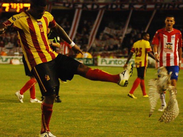 Lechuza es agredida durante un partido de fútbol