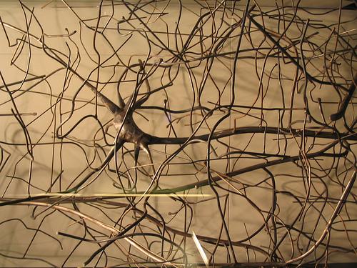 Santiago Ramón y Cajal, las Neuronas y Camillo Golgi