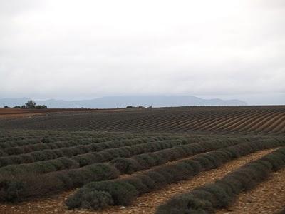 De los Alpes de la Alta Provenza a los Alpes Marítimos