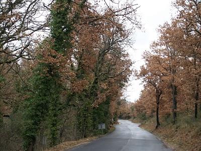 De los Alpes de la Alta Provenza a los Alpes Marítimos