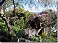 Jardín con diferentes alturas en San Francisco gar24_small