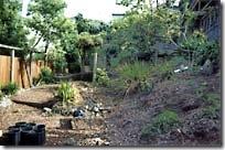Jardín con diferentes alturas en San Francisco gar202
