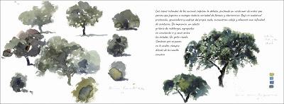 NUEVO LIBRO: Cuaderno de campo de Sierra Morena