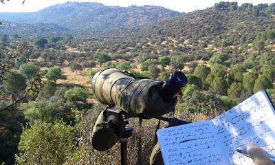 NUEVO LIBRO: Cuaderno de campo de Sierra Morena