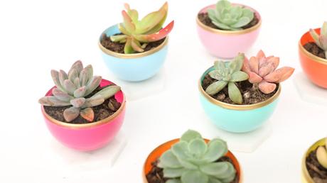 2 IDEAS DIY para decorar con HUEVERAS