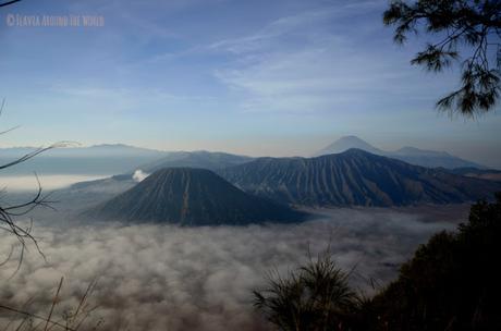 vistas monte Bromo