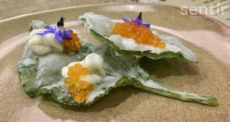 Cocinando flores organic-market