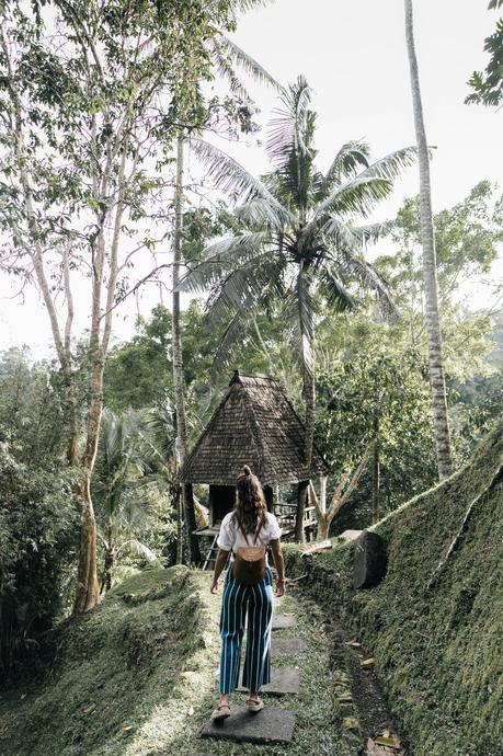 Tree House