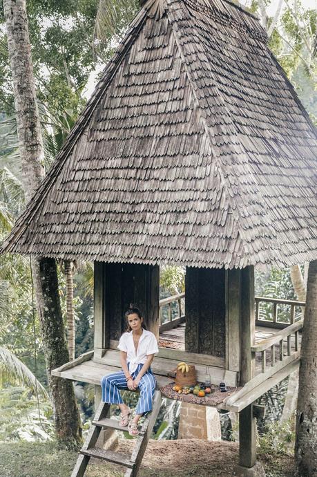 Tree House Tree House