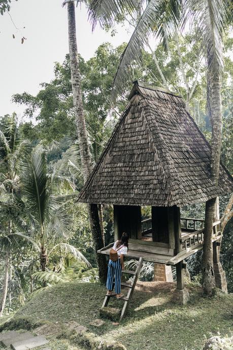 Tree House