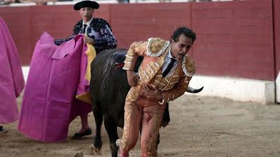 Muere el torero Iván Fandiño, DEP  Maestro