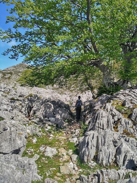 Majadas del Cornión y Canto Ceñal