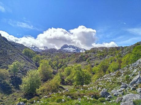 Majadas del Cornión y Canto Ceñal