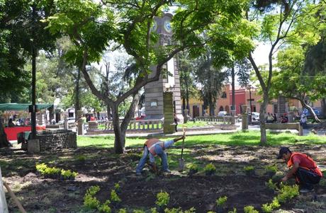 Rehabilitarán el Jardín Colon y otras áreas verdes