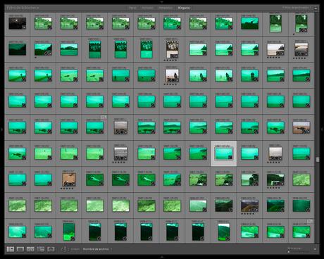 Cómo ahorrar espacio en Adobe Lightroom Ahorro Espacio Iii
