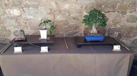 Exposicion en el Castell de la Cartoixa 2017