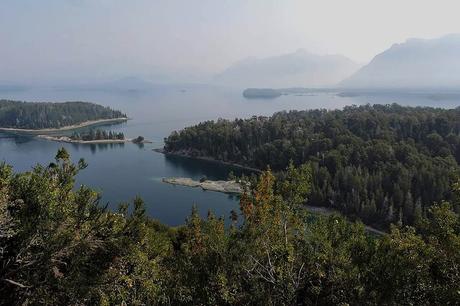 Chucao (Chucao Tapaculo) Scelorchilus rubecula (Kittlitz, 1830) Chucao (Chucao Tapaculo) Scelorchilus rubecula (Kittlitz, 1830)