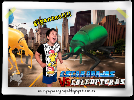 Escarabajos VS Coleopteros